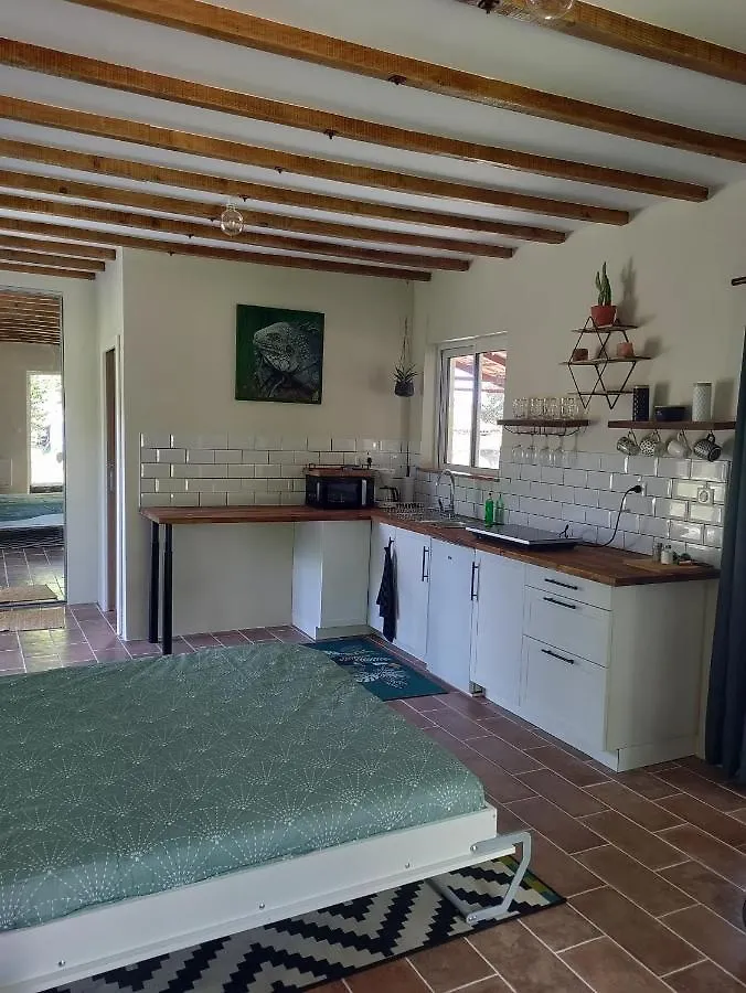 Chez Chapelle In The Heart Of The Gascony With Pool, Pets Welcome! Auch France