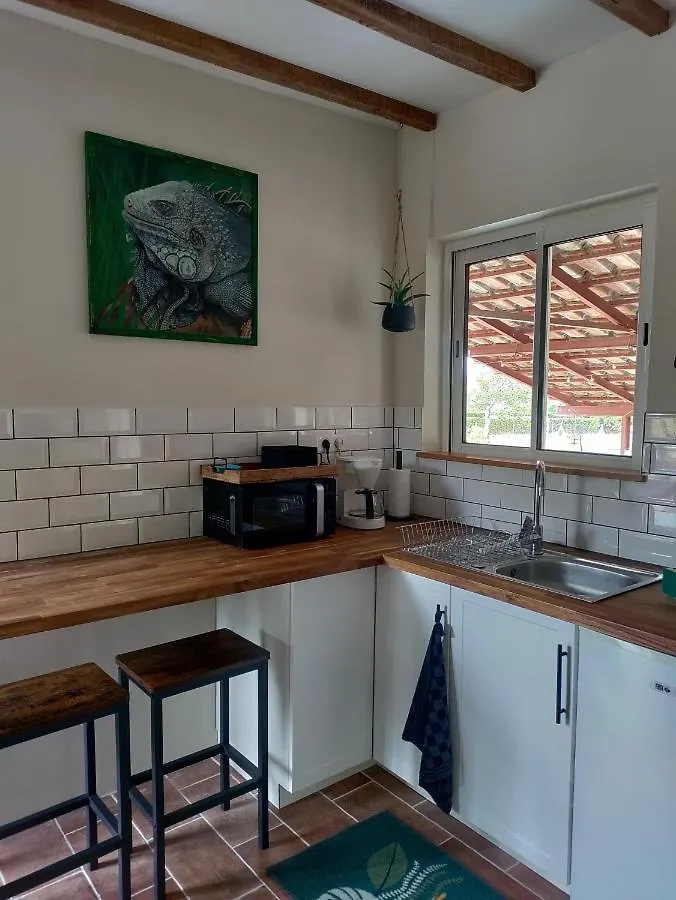 Appartement Chez Chapelle In The Heart Of The Gascony With Pool, Pets Welcome! Auch France