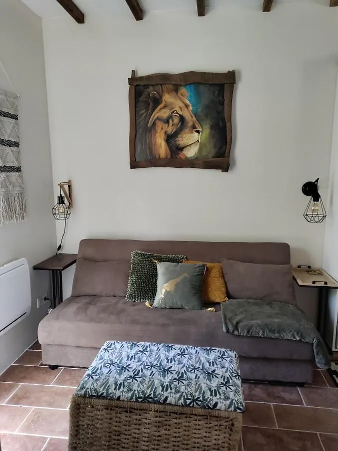Appartement Chez Chapelle In The Heart Of The Gascony With Pool, Pets Welcome! Auch